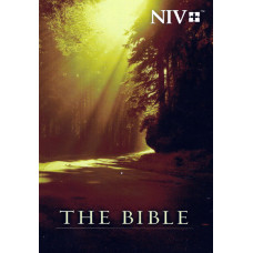 The Bible NIV, used book