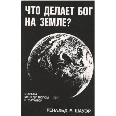 Что делает Бог на Земле, Ренальд Шауэр Что делает Бог на Земле, Ренальд Шауэр