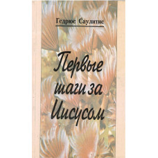 Первые шаги за Иисусом, Гедриус Саулитис